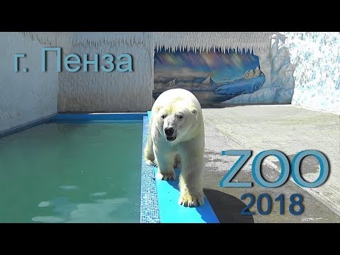 Видео: г. Пенза. Зоопарк после реконструкции. 2018 год.