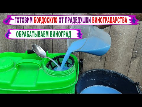 Видео: 🍇 Милдью в августе. Просто ОБРАБОТАЛ ВИНОГРАД 1% БОРДОСКОЙ по рецепту от прадедушки. Срок ожидания!