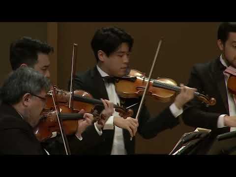 Видео: И. С. БАХ - Бранденбургский концерт № 3 / Камерный оркестр «Sejong Soloists»