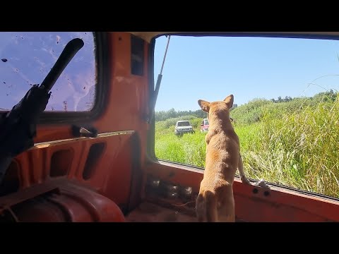Видео: Обед и переходим к #OFFROAD-харду Нива и 2-е легендарных Suzuki