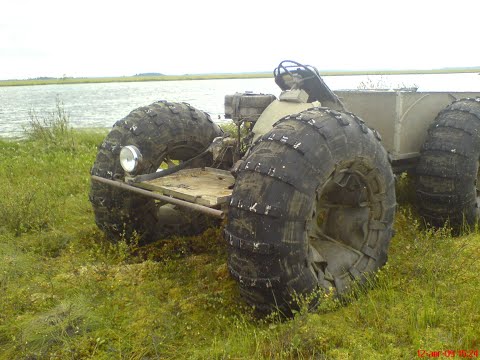 Видео: Болото в сентябре 2013 г.