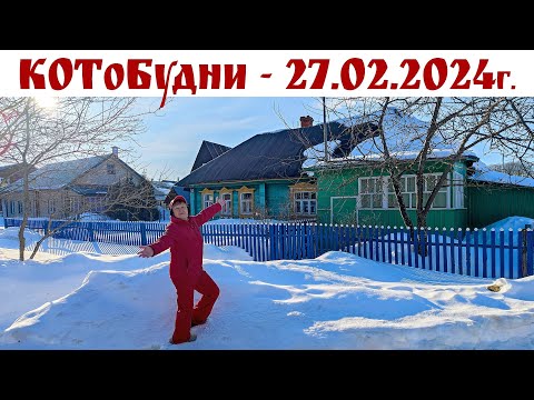 Видео: Международный День оптимиста в деревне Москва или КОТоБудни от 27.02.24г.  |  Online life in Russia