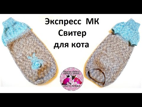 Видео: Экспресс МК Свитер для сфинкса