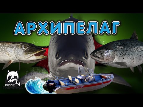 Видео: Охота на трофеев ◦ level ◦ Русская рыбалка 4 ◦🎣👍🐬