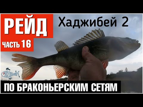 Видео: Хаджибейский лиман 2/ Рейд по браконьерским сетям. Часть 16