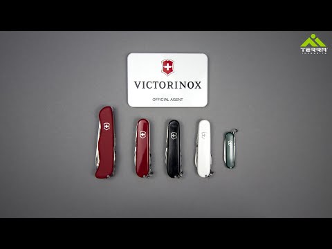 Видео: Який Victorinox обрати? | TOP 5 моделей