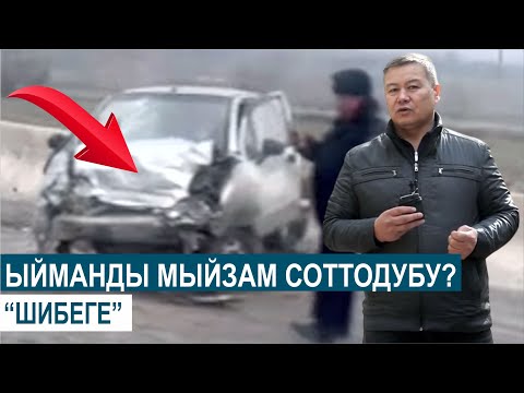 Видео: ЫЙМАНДЫ МЫЙЗАМ СОТТОДУБУ?//ШИБЕГЕ