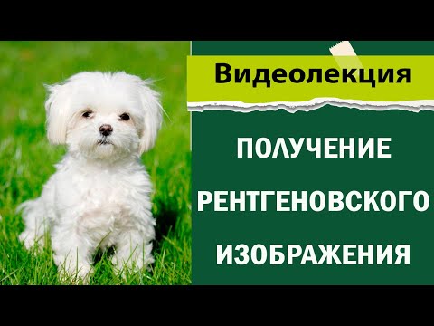 Видео: Устройство и принцип работы рентгеновского аппарата. Получение рентгеновского изображения.