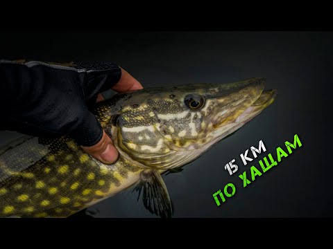 Видео: ✅ Знайшли ЛІГВО ЩУК! 15 км ПО ХАЩАМ! ✅