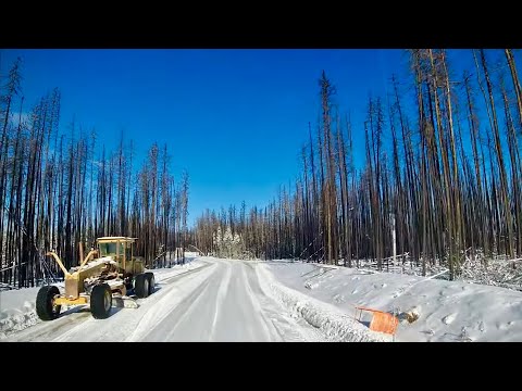 Видео: 157. Как мы опилки из леса возили. Kenworth T880, Alberta,Canada 2024