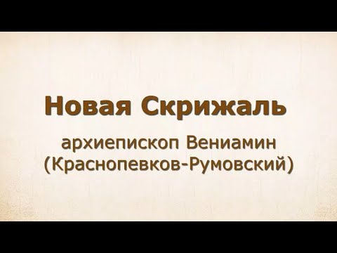 Видео: 17. НОВАЯ СКРИЖАЛЬ Часть 4 глава 5