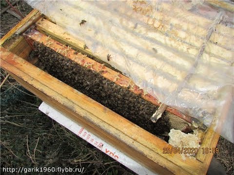 Видео: весеннее расширение гнезда пчел -  вверх , вниз или в бок , особенности разного способа