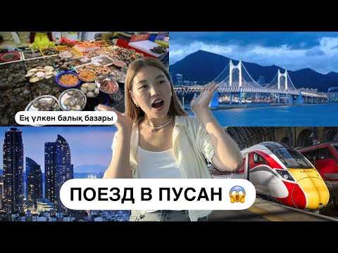 Видео: ПУСАН | Дәл осындай деп еш ойламадым