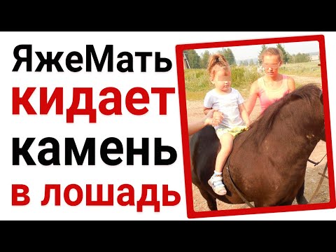 Видео: ЯжеМать кидает камень в лошадь