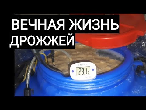 Видео: Сахарная брага на отработанных дрожжах. Как заставить их снова работать