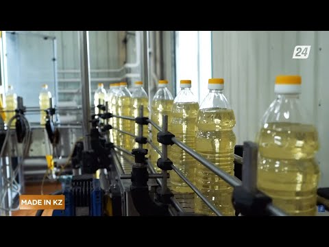 Видео: Күнбағыс майы қалай өңделеді? | Made in KZ