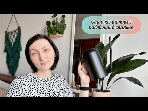 Видео: Выживает сильнейший!!! Обзор теневыносливых комнатных цветов в спальне на северо-восточной стороне.