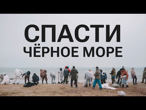 Видео: Люди против мазута. Как волонтеры спасают Анапу?