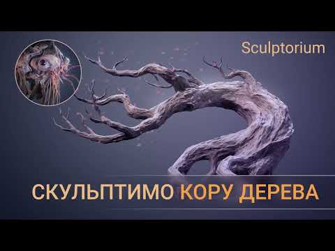 Видео: Скульптимо кору дерева в ZBrush