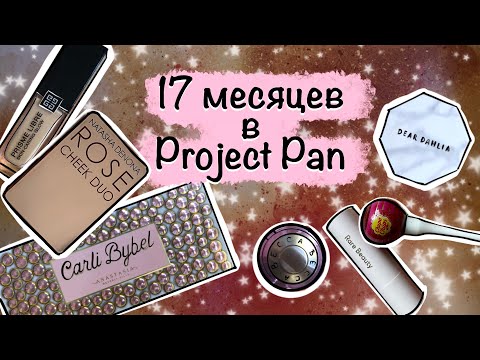 Видео: Project Pan спустя 17 месяцев.