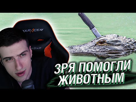 Видео: Hellyeahplay смотрит: Люди, Которые Зря Помогали Животным