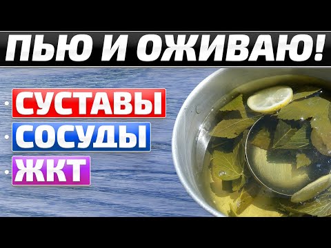 Видео: Чудо отвар из лавровых листьев! Пил и избавился от многих болезней