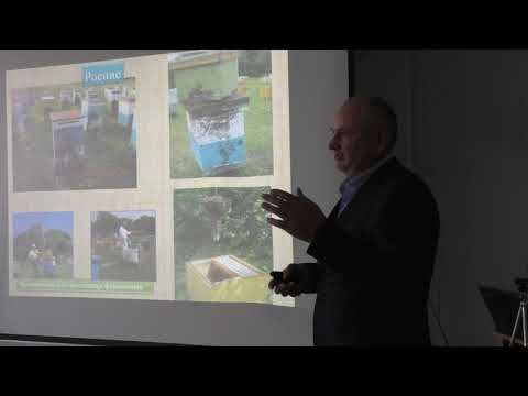 Видео: Шаров М.А. - Пчеловодство в Приморском крае.