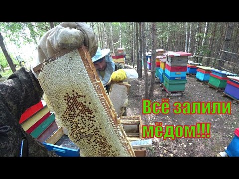 Видео: ОТБИРАЕМ ТОВАРНЫЙ МЁД НА ТОЧКЕ, ОТВЕТЫ НА КОММЕНТАРИИ