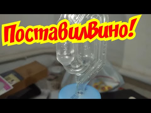Видео: 250829 Вино Брауин