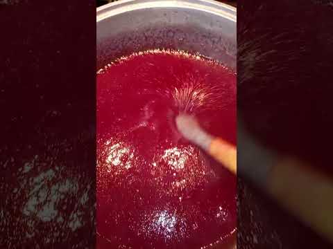 Видео: 15 сентября 2025 г.