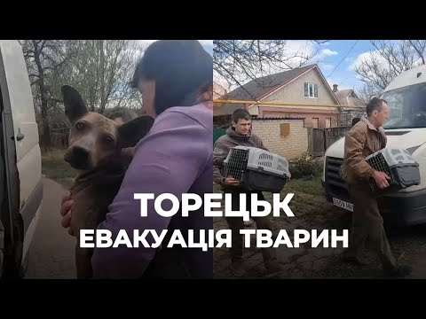 Видео: ТОРЕЦЬК | Найкраща модель співпраці для порятунку | Евакуація тварин