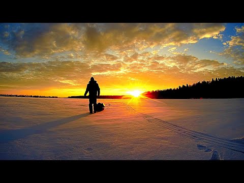 Видео: Рыба любит КОЛОКОЛЬЧИК. Спас тульскую мормышку. Рыбалка на Рузе в январе.