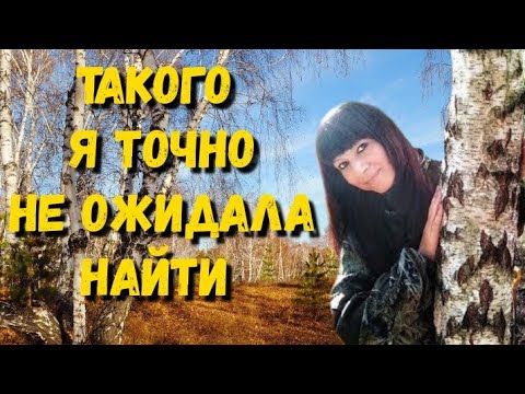 Видео: ЭМОЦИИ ЗАШКАЛИВАЮТ ОТ НАХОДОК в заброшенной деревне. Поиск кладов в лесу с металлоискателем