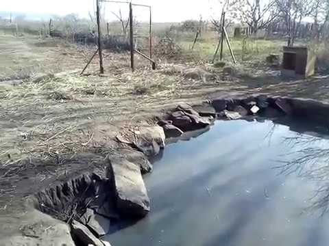 Видео: Содержание и кормление гусей в зимний период.