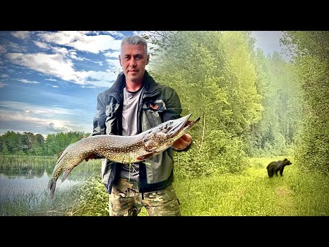 Видео: Мишки, щуки, первая рыбалка 2024