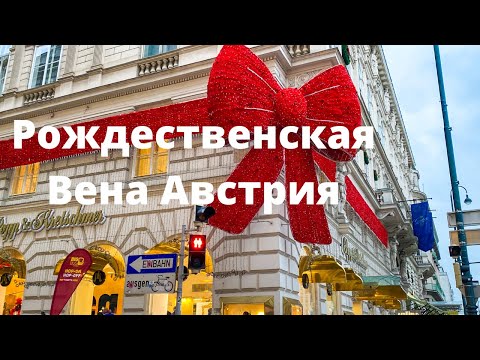 Видео: Рождественская Вена Австрия. Все самое красивое и вкусное в Рождественской и Новогодней Вене.