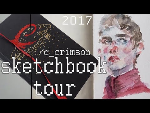 Видео: SKETCHBOOK TOUR jan. - july 2017 / скетчбук moleskine / flip through