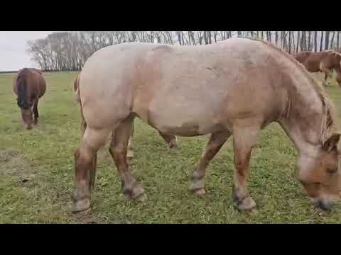 Видео: 7 октября 2025 г.