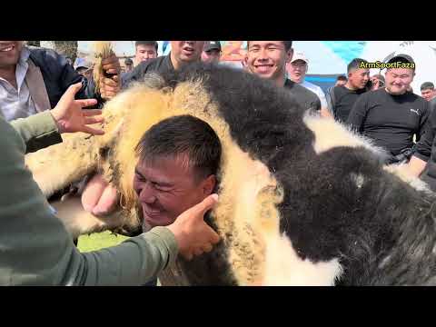 Видео: Жүлде 2 млн Наурыз той Қазығұрт Қызылқия ауылының 1995 жылғы жігіттері 10 жылдыққа ҰланАсыр той