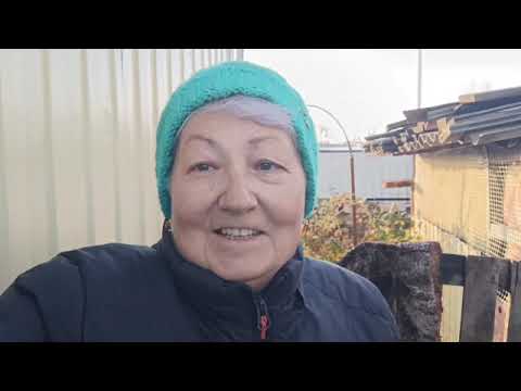 Видео: 8 ноября. Что такое средостение? Я вернулась! Как я жила эти дни без вас. Что будет дальше? Увидим.