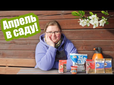 Видео: Главные работы в саду в апреле! Обработки и подкормки деревьев и кустарников
