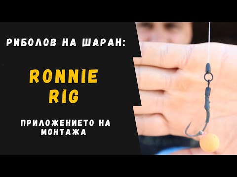 Видео: Риболов на шаран: Ronnie Rig