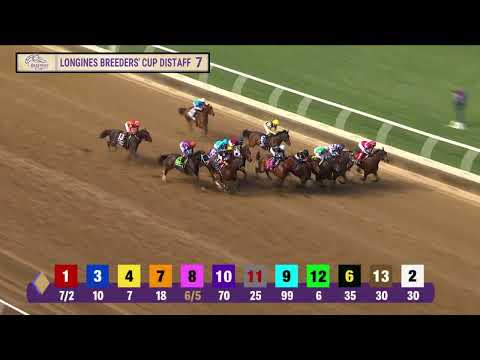 Видео: Сцилла побеждает в гонке BC Distaff G.I. 7 в Дел Мар 1 ноября 2025 года.