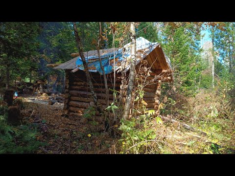 Видео: СИЛЫ НА ИСХОДЕ. ДОДЕЛЫВАЮ КРЫШУ НА "ВЕРХОВОЙ" ПЫТАЮСЬ УСПЕТЬ ДО СНЕГОВ