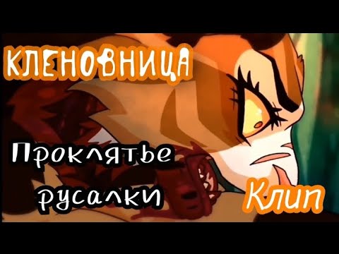 Видео: Кленовница клип "Проклятье русалки". Коты Воители. Теперь и про них выкладываю