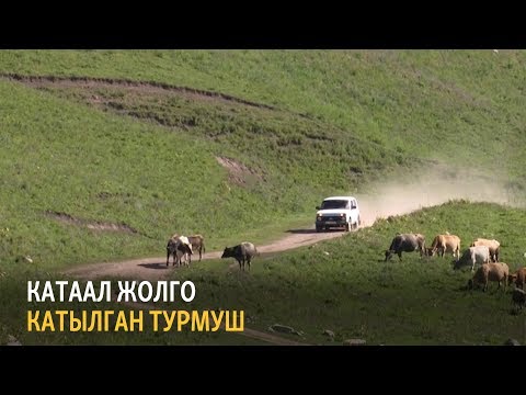 Видео: Катаал жолго катылган турмуш