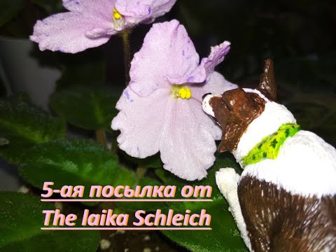 Видео: ○ Юбилейная посылка от The laika Schleich(описание) ○