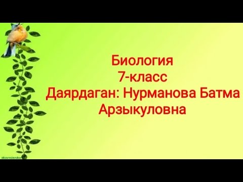 Видео: Канаттуулардын ички түзүлүшү