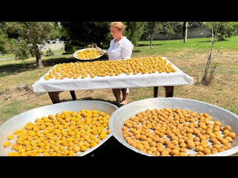 Видео: СУШИМ ПОМИДОРЫ И СЛИВЫ НА СОЛНЦЕ | DRY TOMATOES AND PLUMS IN THE SUN