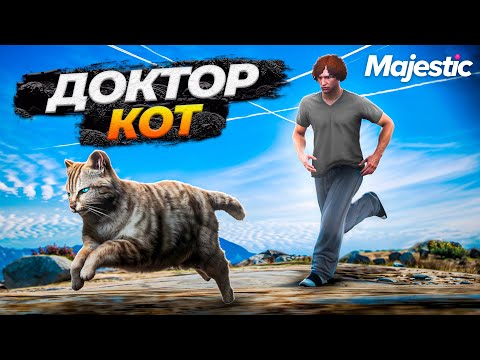 Видео: КОТ СТАЛ ВРАЧОМ НА MAJESTIC RP GTA 5 RP
